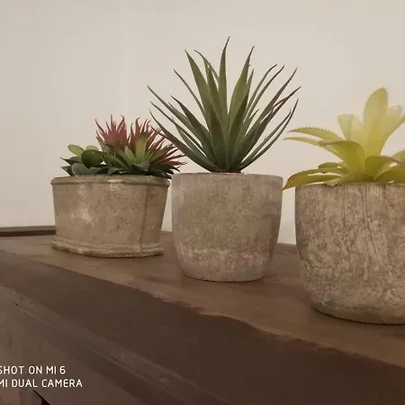 Διαμέρισμα Solaz Del Ambroz-hervas