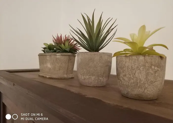 Апартаменты Solaz Del Ambroz-hervas